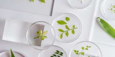 Picture of Petri Dishes in a Science Lab